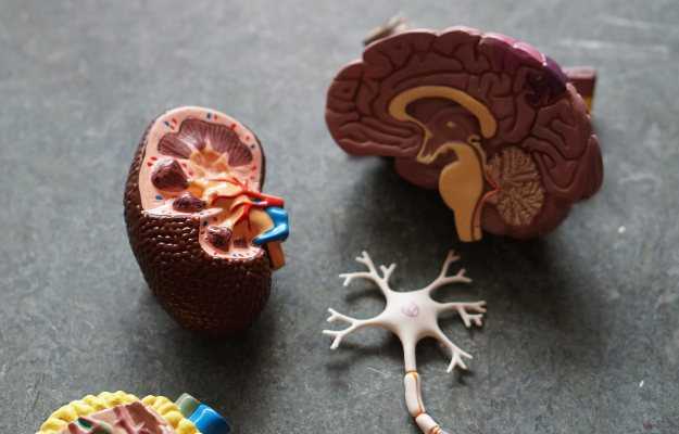 Movement-Disorders-Treatment-NHSNeurocare-Dr Sandeep Goel Best Neurologist In Jalandhar, Punjab, India Movement-Disorders-Treatment-NHSNeurocare-Dr Sandeep Goel Best Neurologist In Jalandhar, Punjab, India