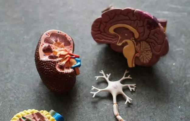 Movement Disorders NHS Neurocare Dr Sandeep Goel Best Neurologist in Jalandhar Punjab India